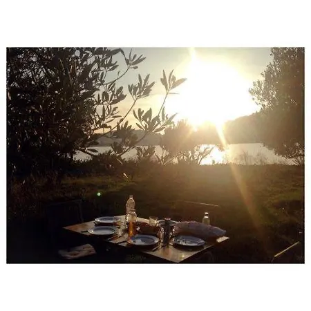 Vinik Island مورتير