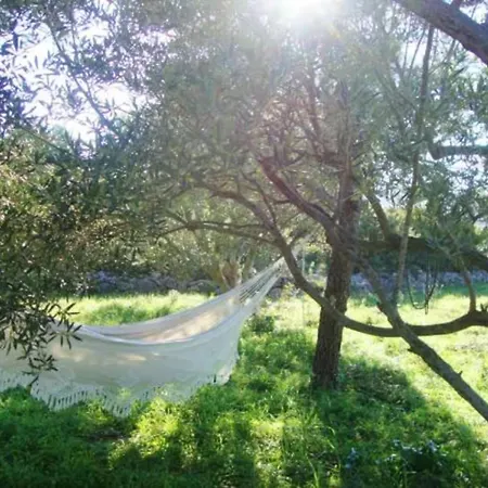 Vinik Island בית נופש מורטר