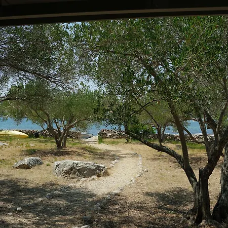Vinik Island Сasa de vacaciones *