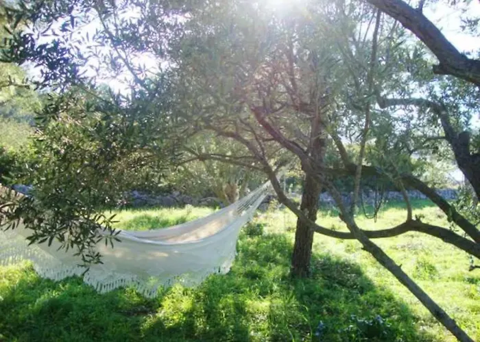 Vinik Island Vikendica Murter